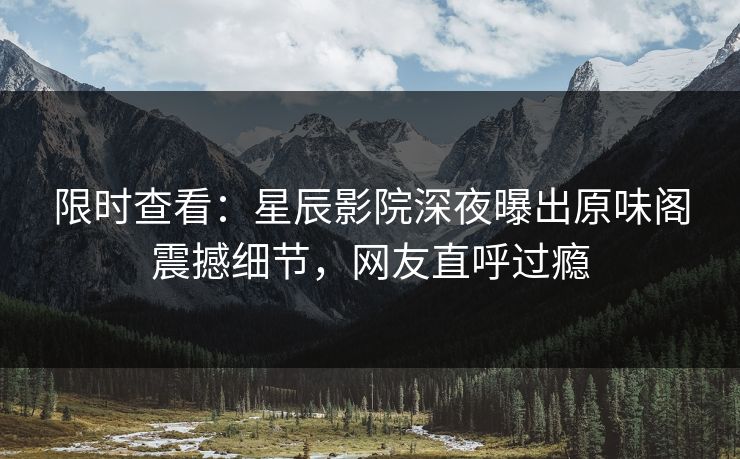 限时查看：星辰影院深夜曝出原味阁震撼细节，网友直呼过瘾